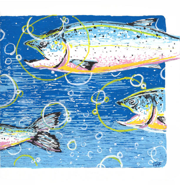 salmon - acrylic markers